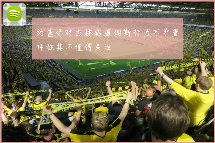 约基奇对杰林威廉姆斯行为不予置评称其不值得关注