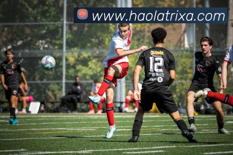 App Interface Preview